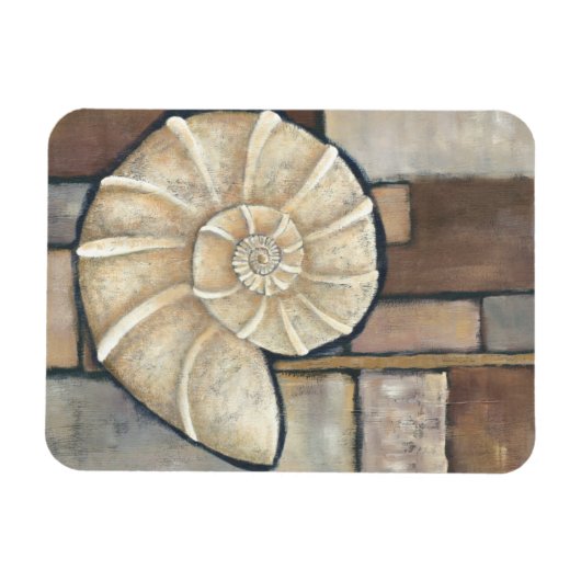 アワビ貝 マグネット (横)