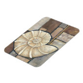 アワビ貝 マグネット (左側)