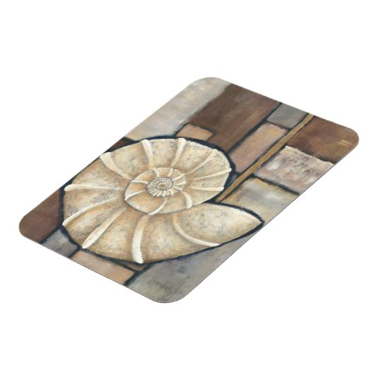 アワビ貝 マグネット (左側)