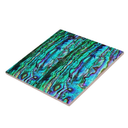 アワビ陶磁器タイル タイル (側面)