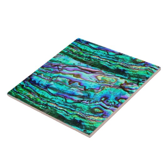 アワビ陶磁器タイル タイル (側面)