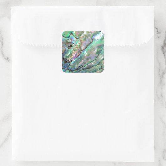 アワビ スクエアシール (バッグ)