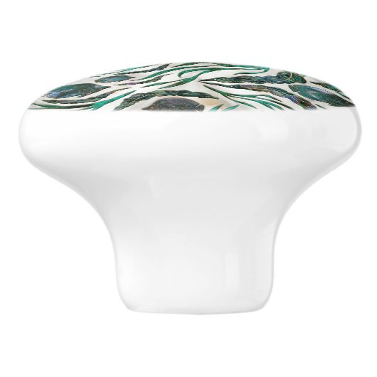 アワビ セラミックノブ (側面)