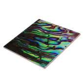 アワビ タイル (側面)