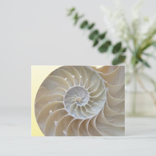 アワビ ポストカード (スタンド正面)