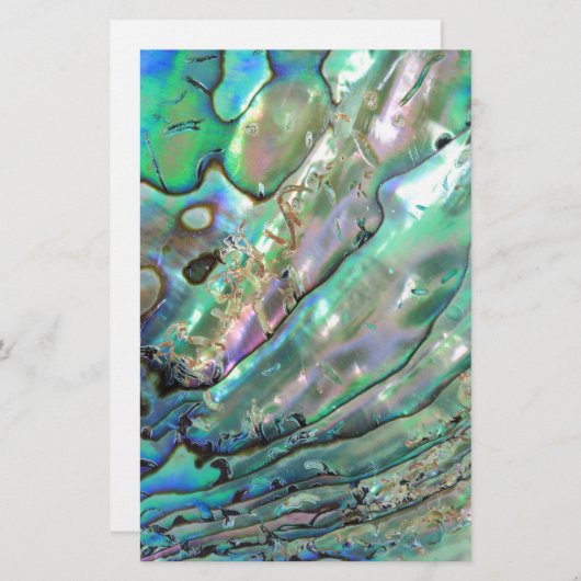 アワビ 便箋 (正面/裏面)