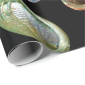 アワロパウアシェルカラーの品揃え ラッピングペーパー (ロールコーナー)