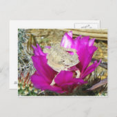 アワーサクティバックヤード開花ズアリザード ポストカード (正面/裏面)