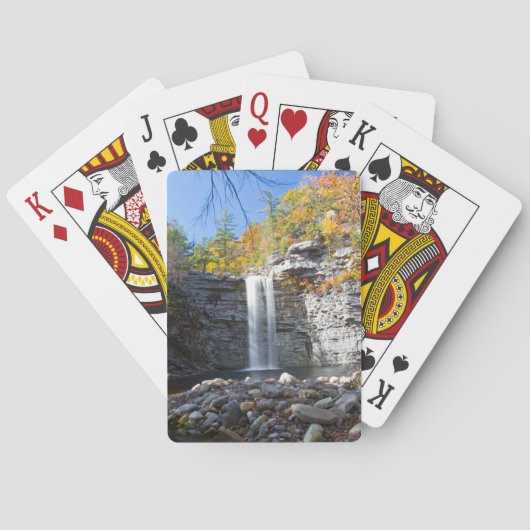 アワースティングウォーターフォールトランプ トランプ (裏面)