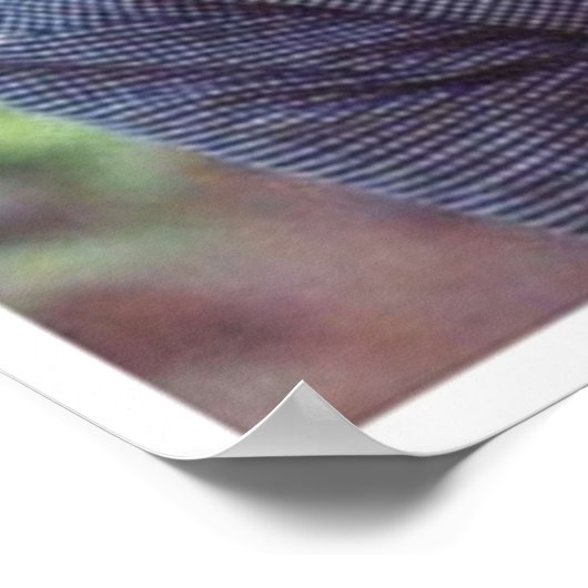 アンとダイアナ ポスター (角)