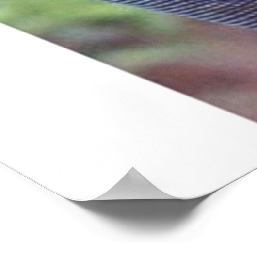 アンとダイアナ ポスター (角)