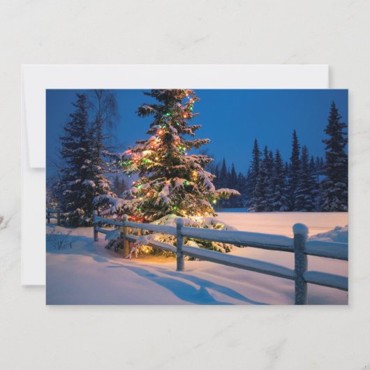 アンカレッジの明るく照らされたクリスマスツリー シーズンカード (正面)