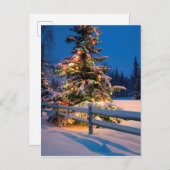 アンカレッジの明るく照らされたクリスマスツリー シーズンポストカード (正面/裏面)