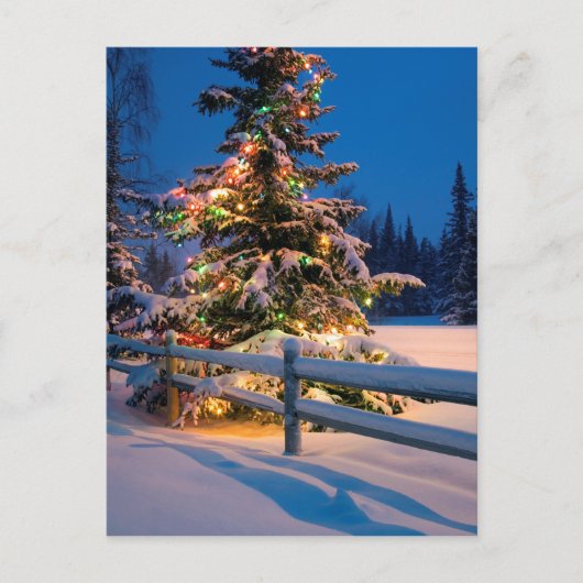 アンカレッジの明るく照らされたクリスマスツリー シーズンポストカード (正面)