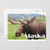 アンカレッジ(Anchorage)近くのムース(Alaska, USA) ポストカード (正面/裏面)