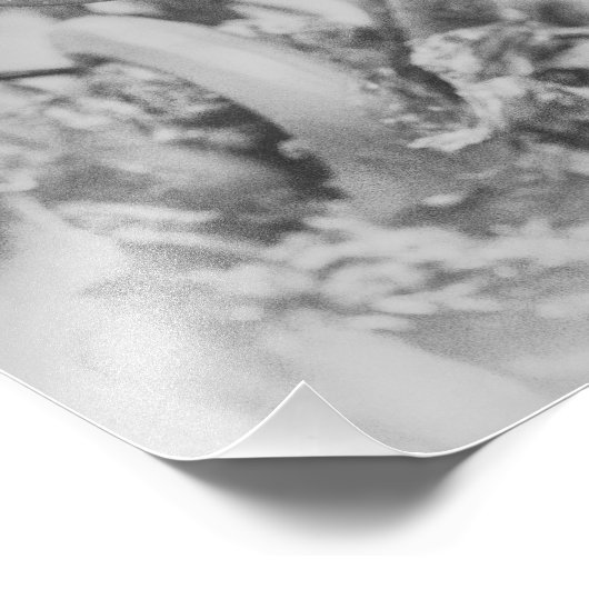 アンカーリングウッドランドファーンブラックアンドホワイトプリント1 フォトプリント (角)