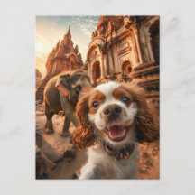 アンカー寺院でのキングチャールズコッカースパニエル