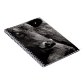 アンガスの黒い雄牛の白黒写真 ノートブック (右側)