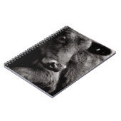 アンガスの黒い雄牛の白黒写真 ノートブック (左側)