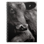 アンガスの黒い雄牛の白黒写真 ノートブック (正面)
