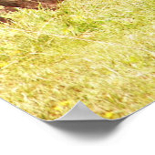 アンガスカルブアットパスチュレ ポスター (角)