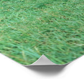 アンガス牛 ポスター (角)