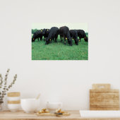 アンガス牛 ポスター (キッチン)