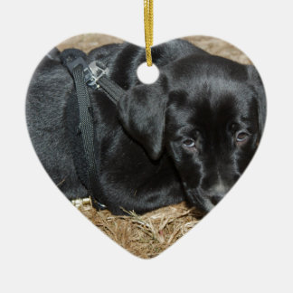 アンガス セラミックオーナメント