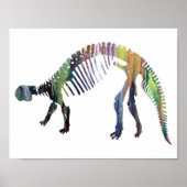 アンキロサウルス ポスター (正面)