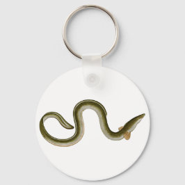 アンギラアンギラ キーホルダー