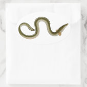 アンギラアンギラ 楕円形シール (バッグ)