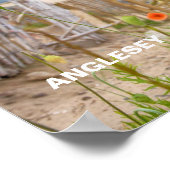 アングレシーウェールズ風光明媚なビュービーチアンドワイルドポピー ポスター (角)