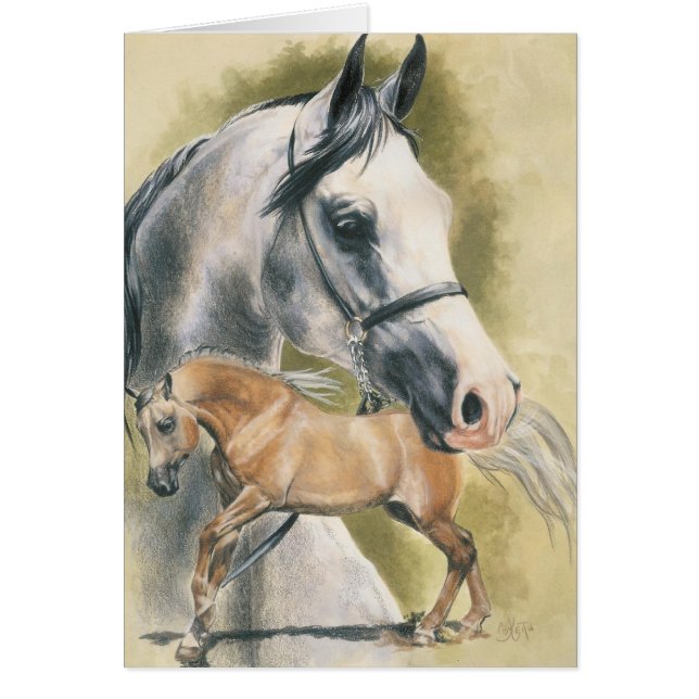 アングロアラビア語 (正面)