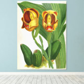 アングロアリュッケリサンギネリンデニアオーキッド キャンバスプリント (インサイチュ (ウッドフロア))