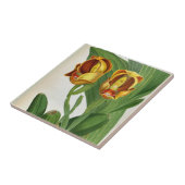 アングロアリュッケリサンギネリンデニアオーキッド タイル (側面)