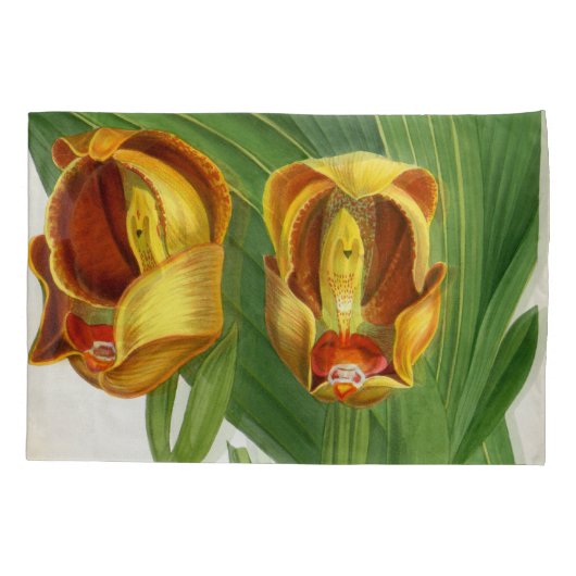 アングロアリュッケリサンギネリンデニアオーキッド 枕カバー (裏面)