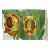 アングロアリュッケリサンギネリンデニアオーキッド 枕カバー (正面)