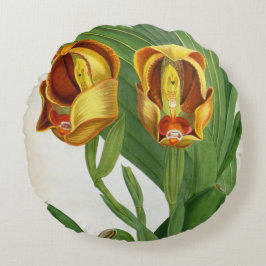 アングロア・ルケリイ・サングイネ・リンデニア・ラン ラウンドクッション