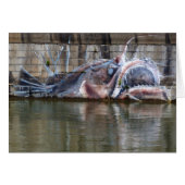 アンコウ (正面横)