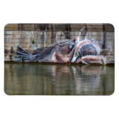 アンコウ マグネット (横)