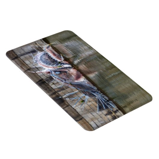 アンコウ マグネット (右側)