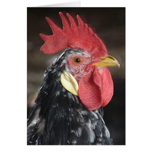 アンコナロー (正面)