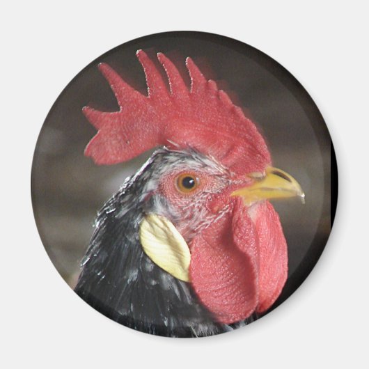 アンコナロー マグネット (正面)