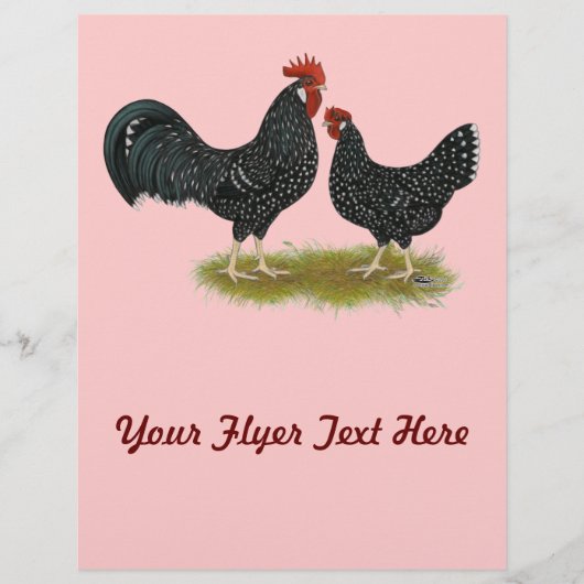 アンコナ チラシ (正面)