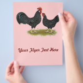 アンコナ チラシ (手)