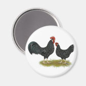 アンコナ マグネット (正面/裏面)