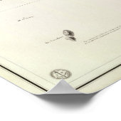 アンコンペルー ポスター (角)