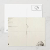 アンコンペルー ポストカード (正面/裏面)