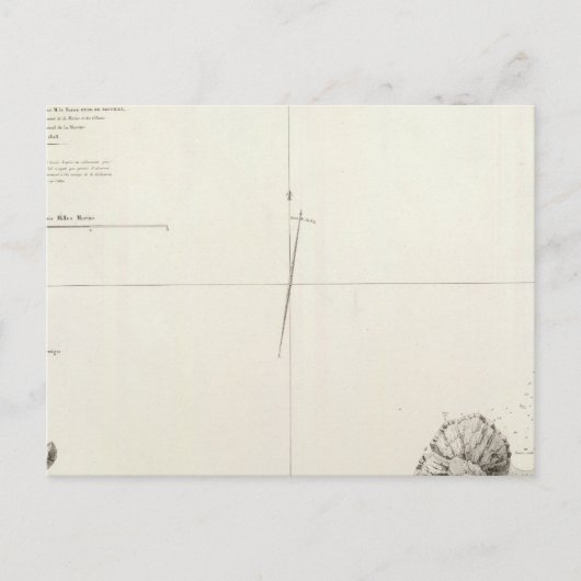 アンコンペルー ポストカード (正面)