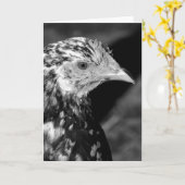 アンコーナヘン カード (黄色い花)